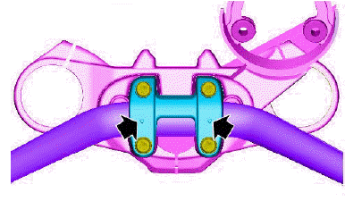 Handlebar assembly: throttle control