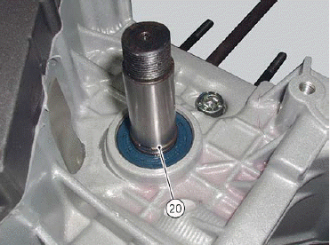 Cylinder head assembly: timing system
