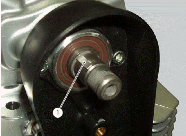 Cylinder head assembly: timing system