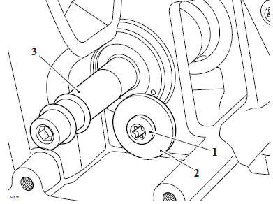 Rear Balancer Shaft - Removal