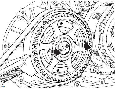 Starter Sprag Gear