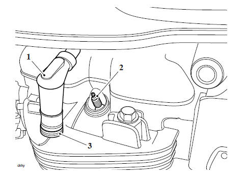 Spark Plugs - Check/Renew