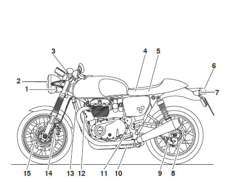 Thruxton and Thruxton R (Thruxton shown)