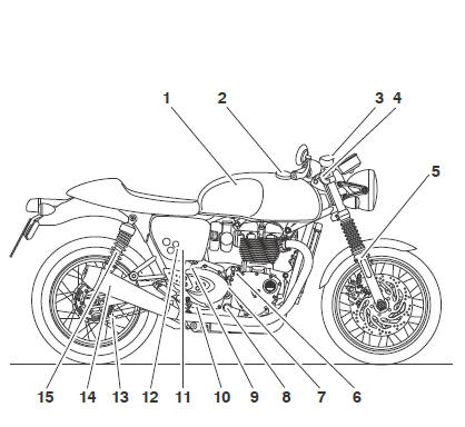 Thruxton and Thruxton R (Thruxton shown)