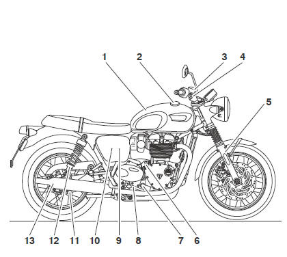 Bonneville T100 and Bonneville T120 (Bonneville T120 shown)