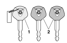 Immobilizer system